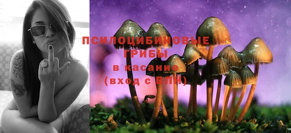 каннабис Белокуриха