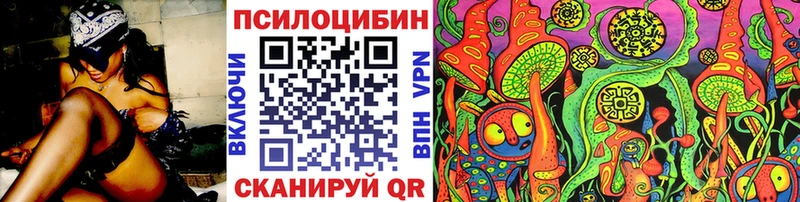 Галлюциногенные грибы Magic Shrooms  купить  цена  Ермолино 
